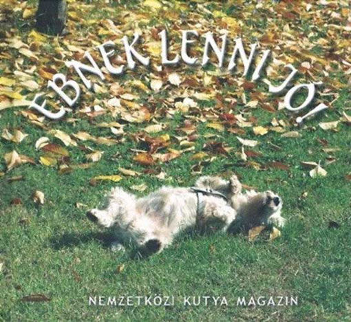 Ebnek lenni jó! termékhez kapcsolódó kép