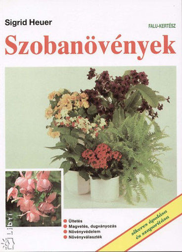 Szobanövények termékhez kapcsolódó kép