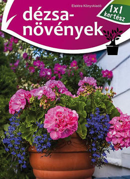 Dézsanövények termékhez kapcsolódó kép