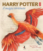 Harry Potter - A mágia története termékhez kapcsolódó kép