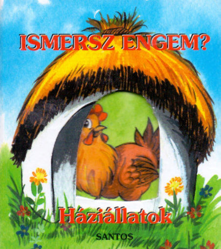 Ismersz engem? - Háziállatok termékhez kapcsolódó kép