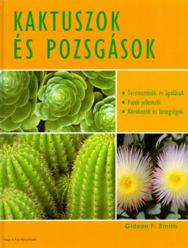 Kaktuszok és pozsgások termékhez kapcsolódó kép