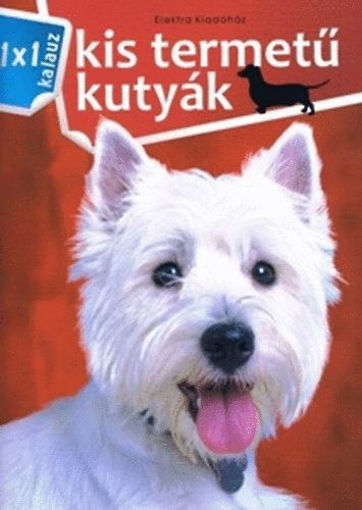 Kis termetű kutyák  - 1x1 kalauz termékhez kapcsolódó kép
