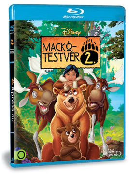 Mackótestvér 2. termékhez kapcsolódó kép