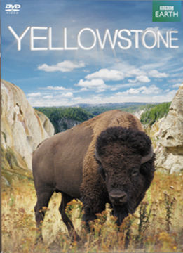 Yellowstone termékhez kapcsolódó kép