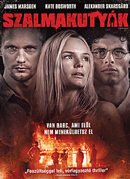 Szalmakutyák termékhez kapcsolódó kép