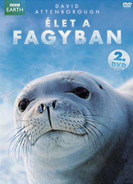 Élet a fagyban 2. termékhez kapcsolódó kép