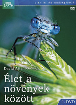 Élet a növények közt 1. termékhez kapcsolódó kép