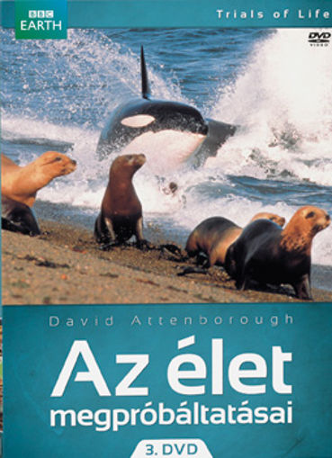 Az élet megpróbáltatásai 3. termékhez kapcsolódó kép