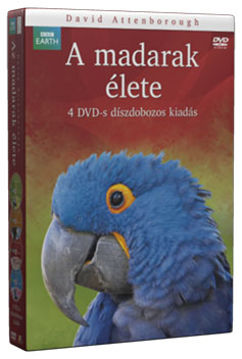 A madarak élete - díszdoboz (4 DVD) termékhez kapcsolódó kép