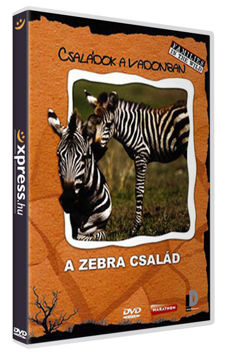 Családok a Vadonban - A zebra család termékhez kapcsolódó kép