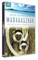 Madagaszkár (David Attenborough) termékhez kapcsolódó kép