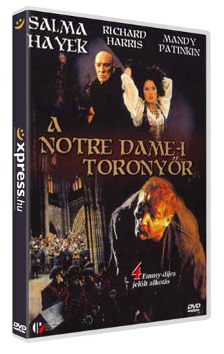 A Notre Dame-i toronyőr termékhez kapcsolódó kép