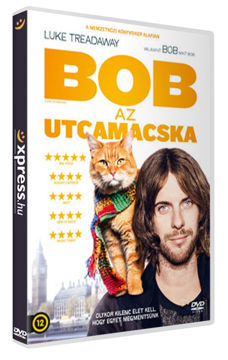 Bob, az utcamacska termékhez kapcsolódó kép