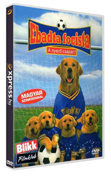 Ebadta focista termékhez kapcsolódó kép