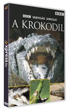 A krokodil termékhez kapcsolódó kép