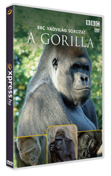 A gorilla termékhez kapcsolódó kép