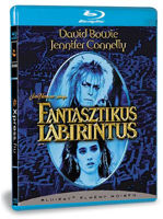 Fantasztikus labirintus termékhez kapcsolódó kép