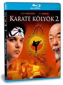 Karate kölyök 2. termékhez kapcsolódó kép