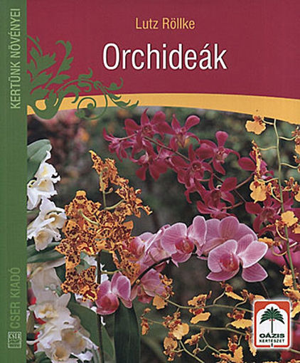Orchideák termékhez kapcsolódó kép