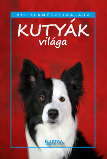 Kutyák világa termékhez kapcsolódó kép