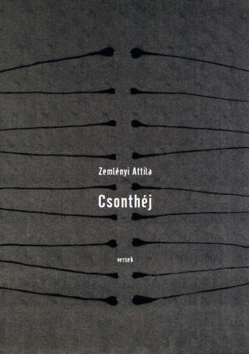 Csonthéj termékhez kapcsolódó kép