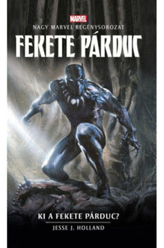 Marvel: Fekete Párduc - Ki a Fekete Párduc? termékhez kapcsolódó kép