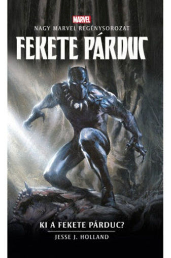 Marvel: Fekete Párduc - Ki a Fekete Párduc? termékhez kapcsolódó kép