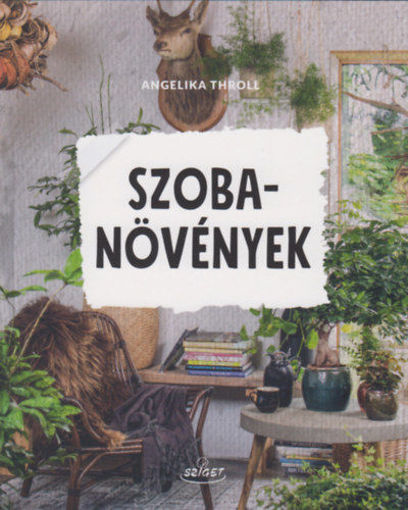 Szobanövények termékhez kapcsolódó kép