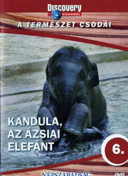 A természet csodái 6. - Kandula, az ázsiai elefánt termékhez kapcsolódó kép
