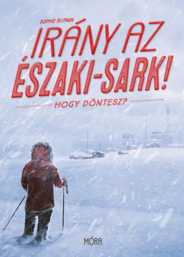 Irány az Északi-sark! - Hogy döntesz? termékhez kapcsolódó kép