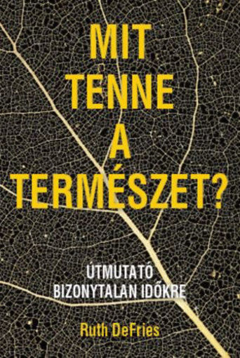 Mit tenne a természet? - Útmutató bizonytalan időkre termékhez kapcsolódó kép