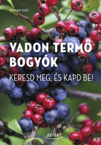 Vadon termő bogyók - Keresd meg, és kapd be! termékhez kapcsolódó kép