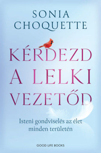 Kérdezd a lelki vezetőd - Isteni gondviselés az élet minden területén termékhez kapcsolódó kép