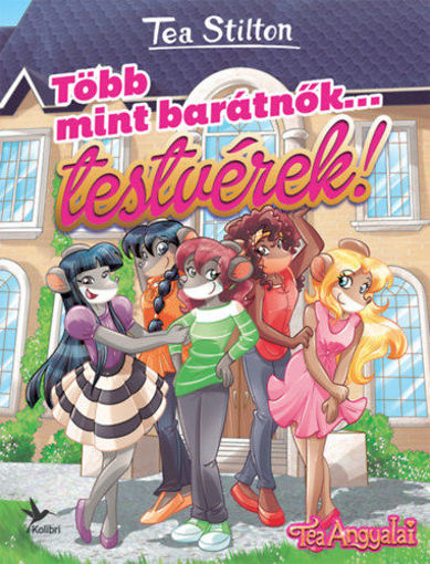 Több mint barátnők... testvérek! termékhez kapcsolódó kép