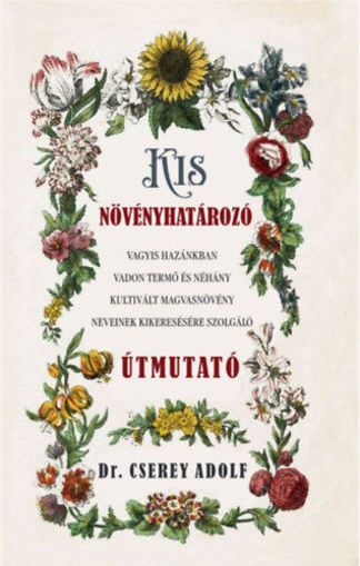 Kis növényhatározó termékhez kapcsolódó kép