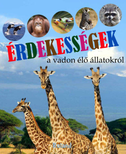 Érdekességek a vadon élő állatokról termékhez kapcsolódó kép