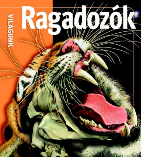 Ragadozók termékhez kapcsolódó kép