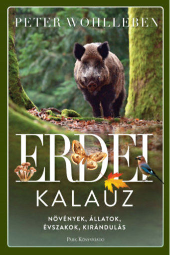 Erdei kalauz - Növények, állatok, évszakok, kirándulás termékhez kapcsolódó kép