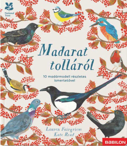 Madarat tolláról - 10 madármodell részletes ismertetővel termékhez kapcsolódó kép