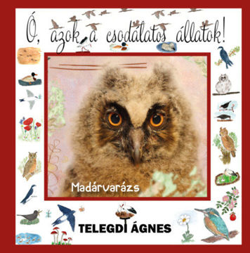 Madárvarázs termékhez kapcsolódó kép