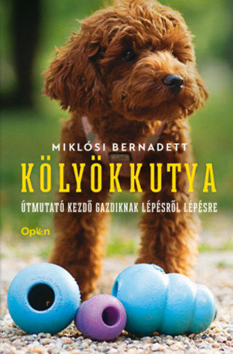 Kölyökkutya termékhez kapcsolódó kép