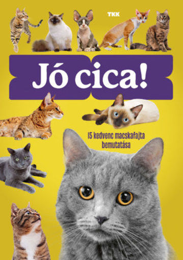 Jó cica! termékhez kapcsolódó kép