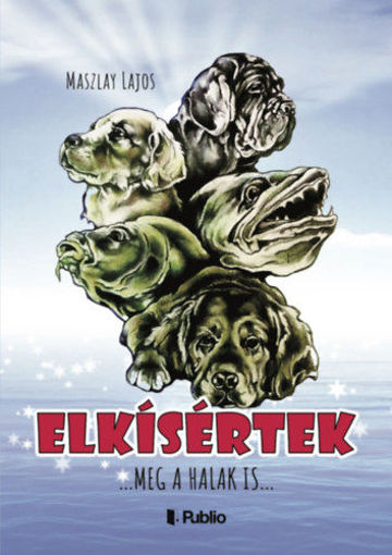 Elkísértek termékhez kapcsolódó kép
