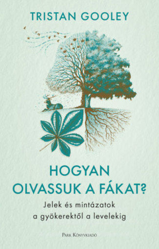 Hogyan olvassuk a fákat? - Jelek és mintázatok a gyökerektől a levelekig termékhez kapcsolódó kép