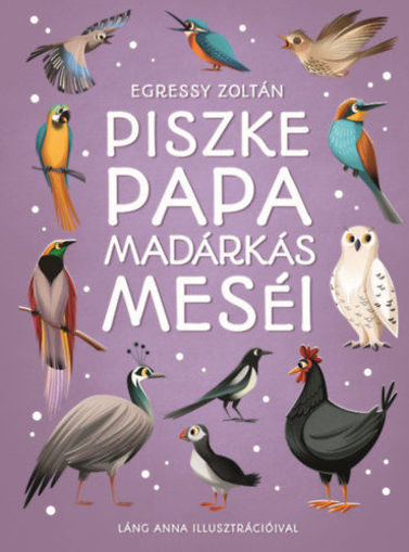Piszke papa madárkás meséi termékhez kapcsolódó kép