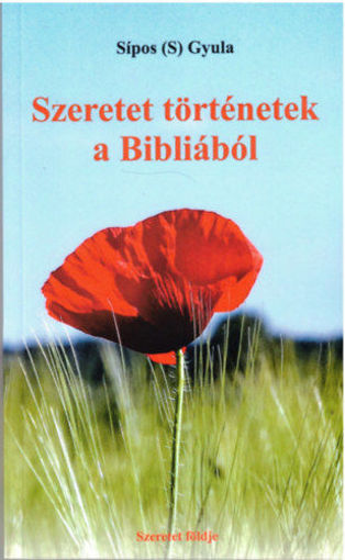 Szeretet történetek a Bibliából termékhez kapcsolódó kép