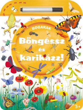 Böngéssz és karikázz! - Bogarak termékhez kapcsolódó kép