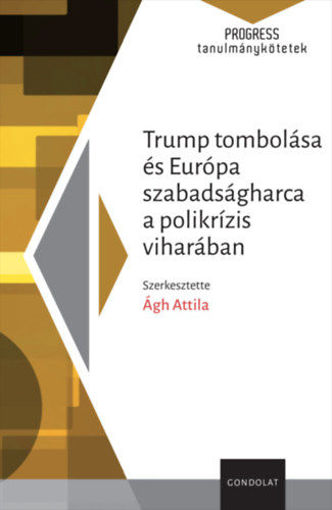 Trump tombolása és Európa szabadságharca a polikrízis viharában termékhez kapcsolódó kép
