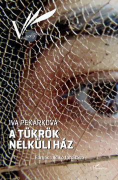 A tükrök nélküli ház termékhez kapcsolódó kép